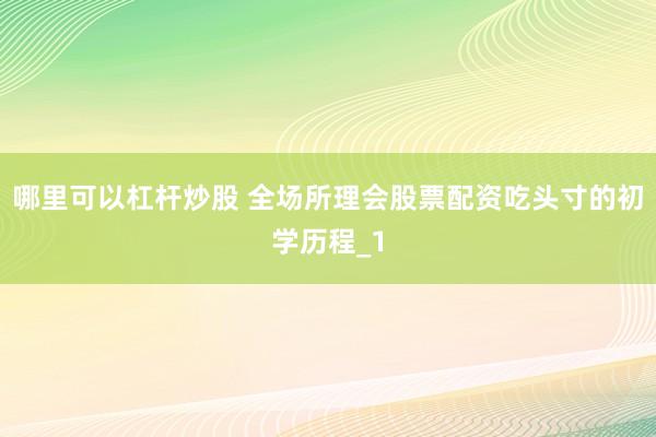 哪里可以杠杆炒股 全场所理会股票配资吃头寸的初学历程_1